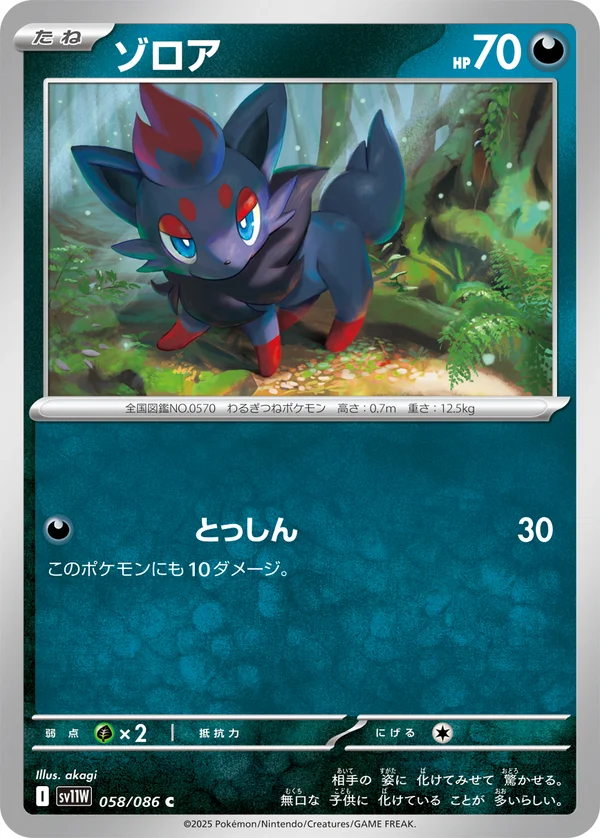 ゾロア #58/86