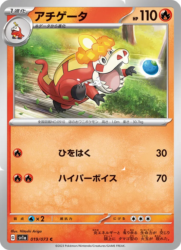 アチゲータ #19/73
