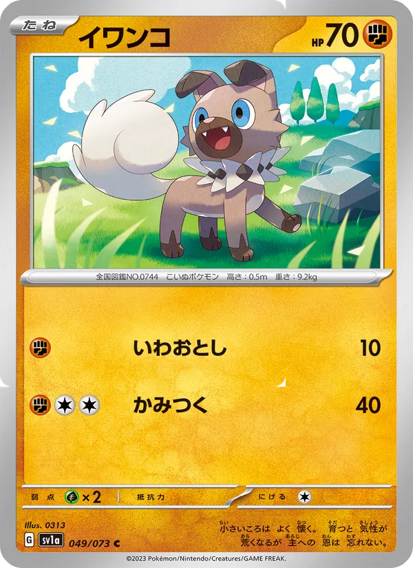 イワンコ #49/73