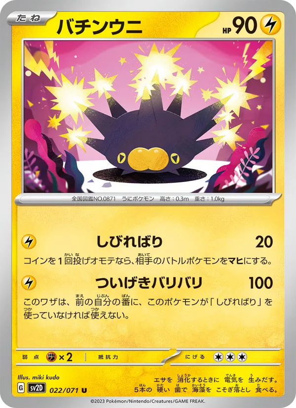 バチンウニ #22/71