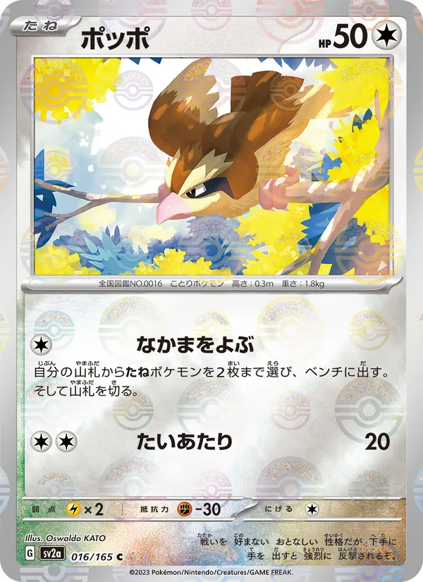 ポッポ #16/165