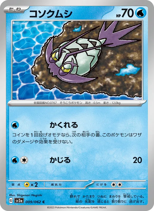 コソクムシ #9/62