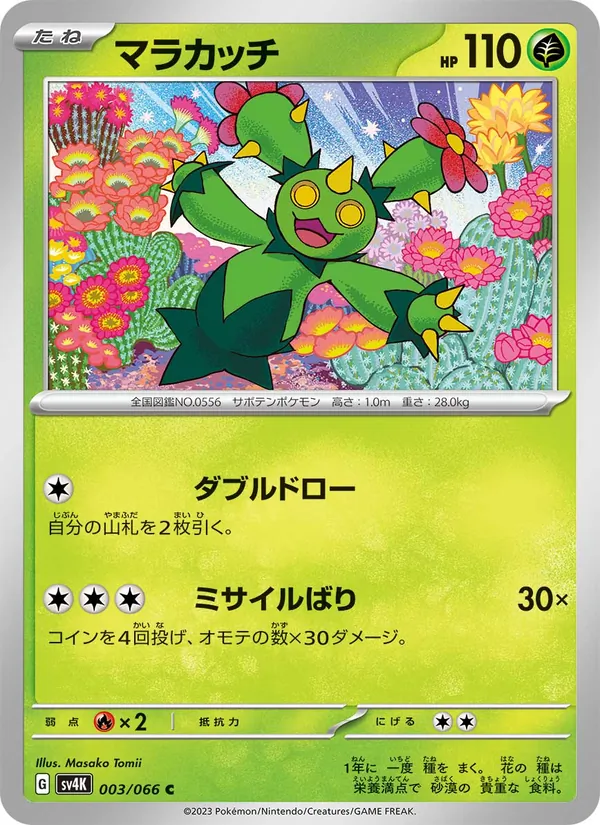 マラカッチ #3/66