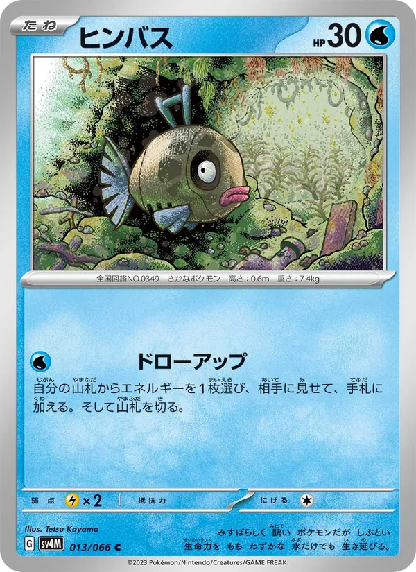 ヒンバス #13/66