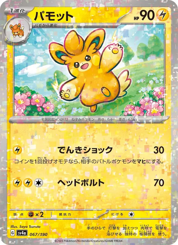 パモット #67/190