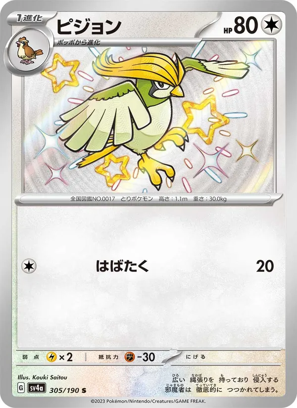 ピジョン #305/190