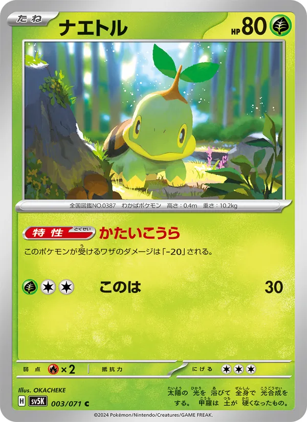 ナエトル #3/71