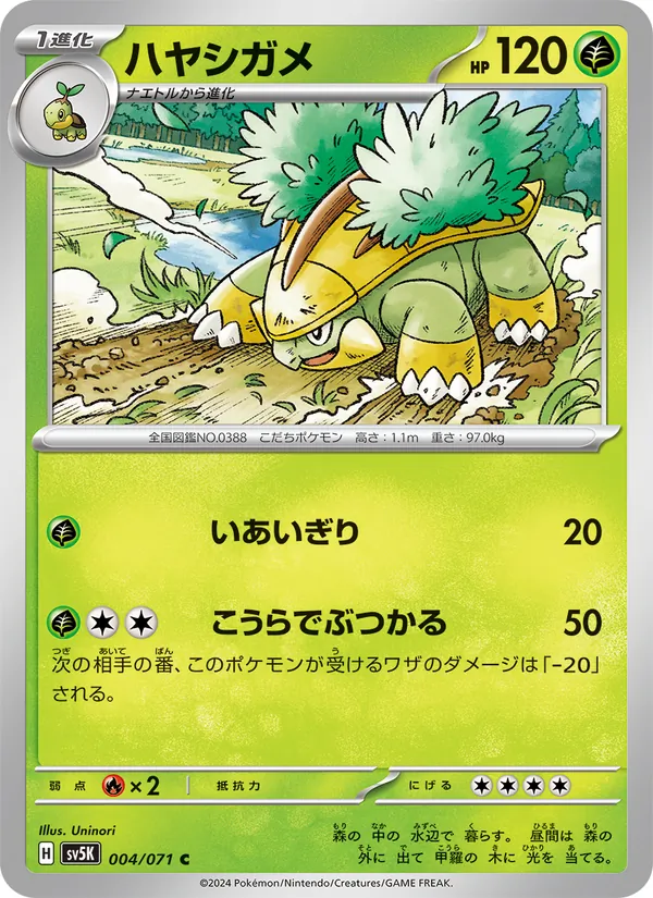 ハヤシガメ #4/71