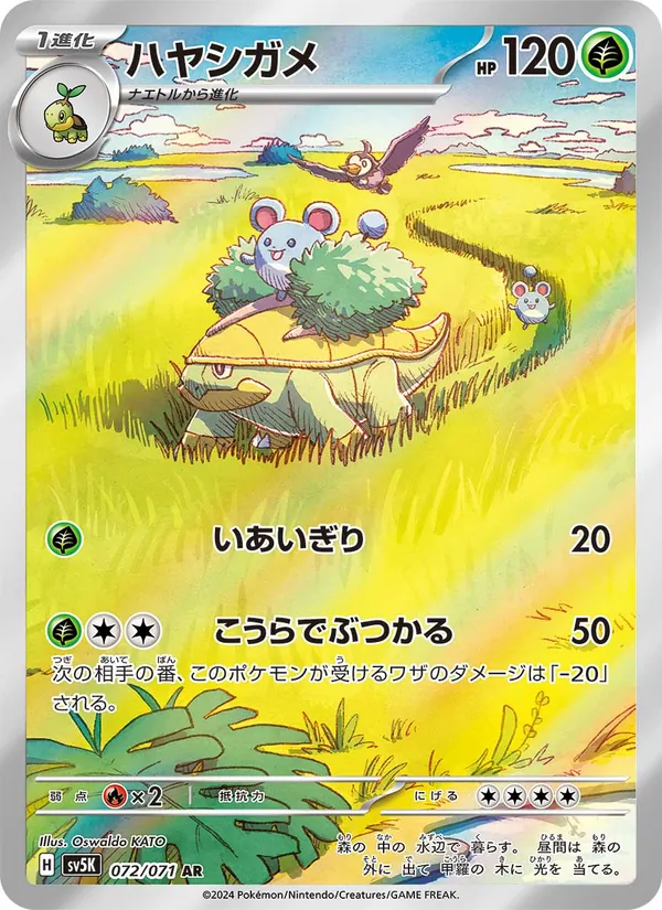 ハヤシガメ #72/71