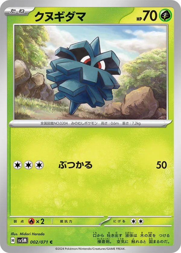 クヌギダマ #2/71