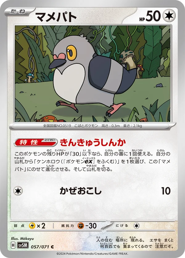 マメパト #57/71