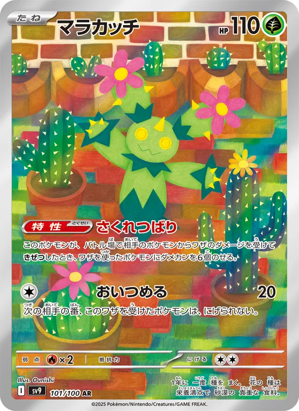 マラカッチ #101/100