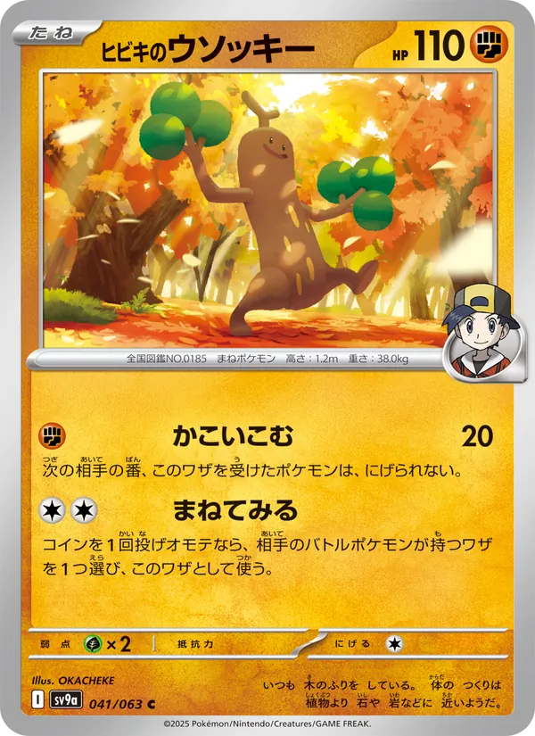ヒビキのウソッキー #41/63