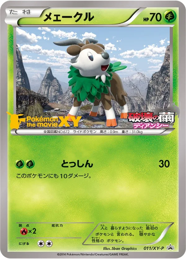 Summer Campaign Skiddo #11