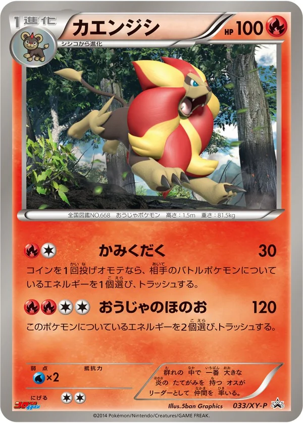 Pyroar #33