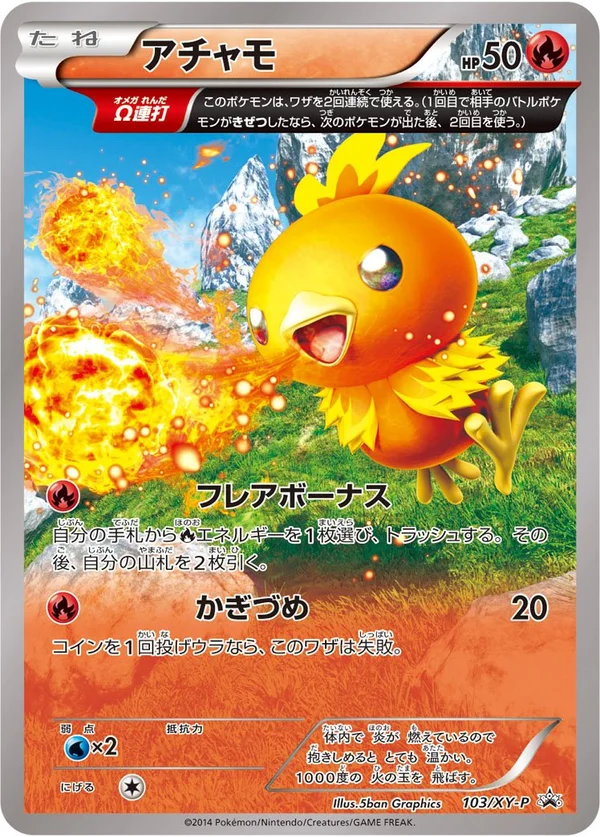 Torchic #103