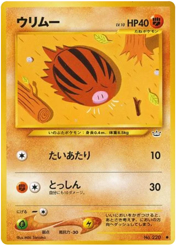 swinub #38/57
