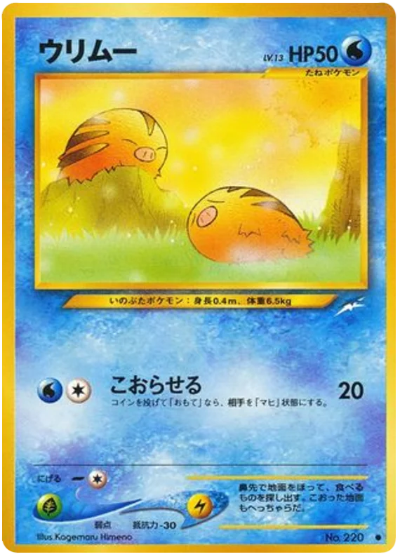 swinub #29/113