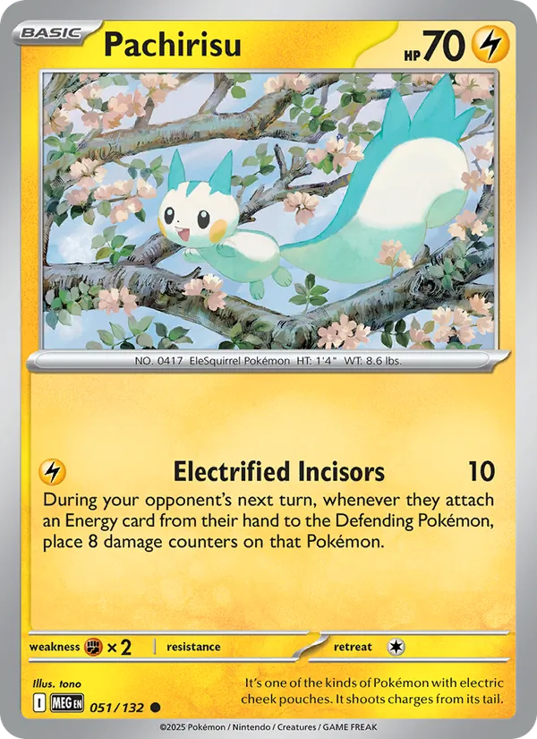 Pachirisu #51/132