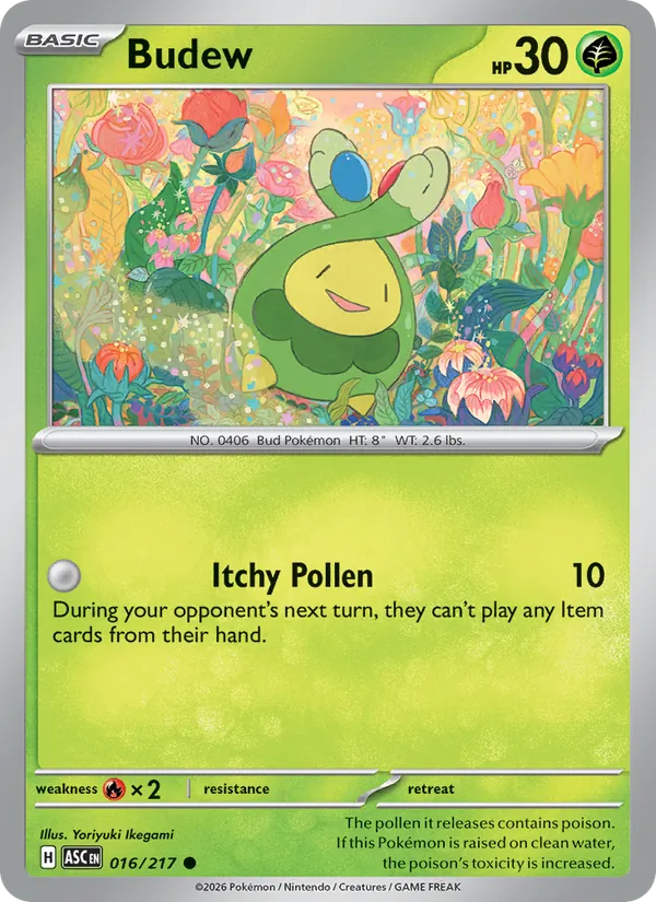 Budew #16/217