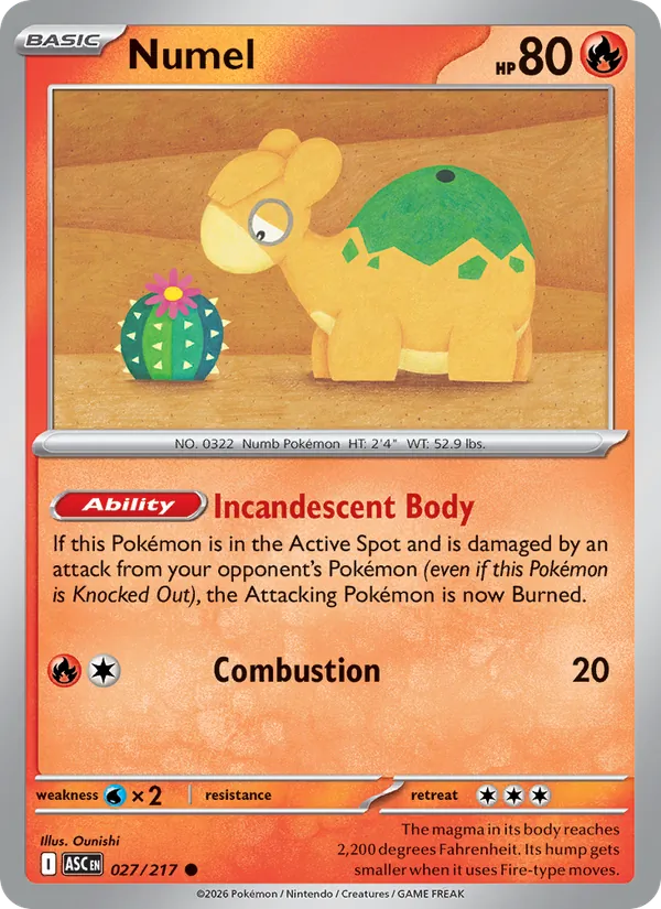 Numel #27/217