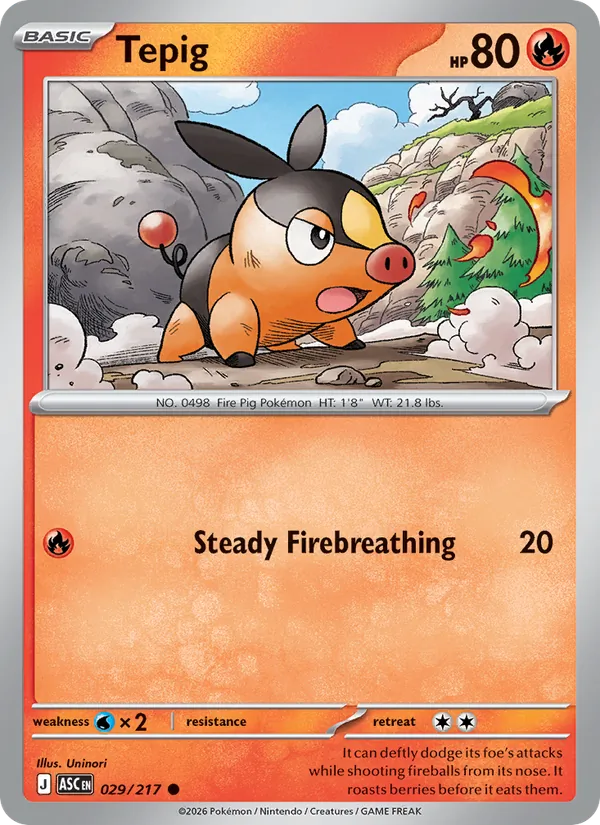 Tepig #29/217