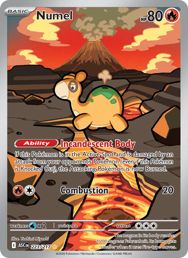 Numel #223/217