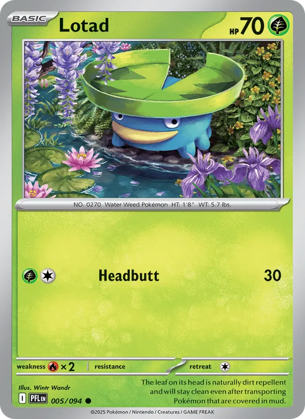 Lotad #5/94