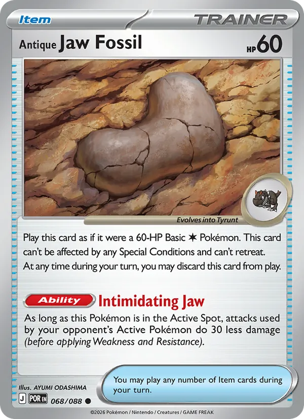 Antique Jaw Fossil #68/88