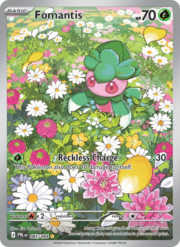 Fomantis #85/84