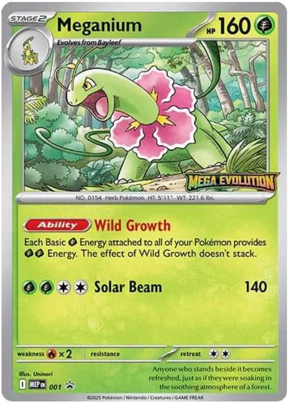 Meganium #1