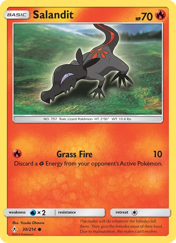 Salandit #30/214