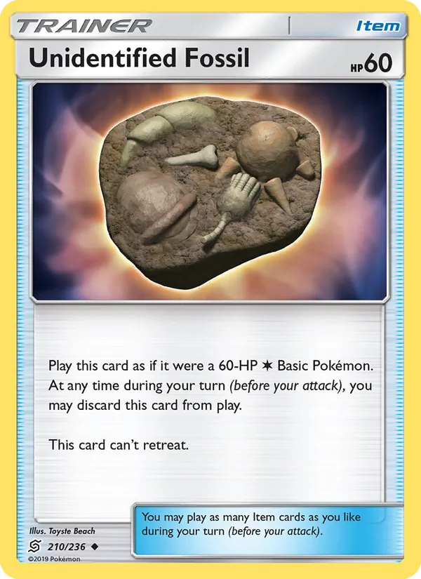 Unidentified Fossil #210/236
