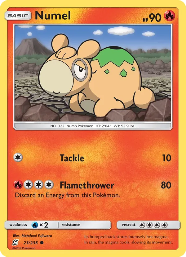 Numel #23/236