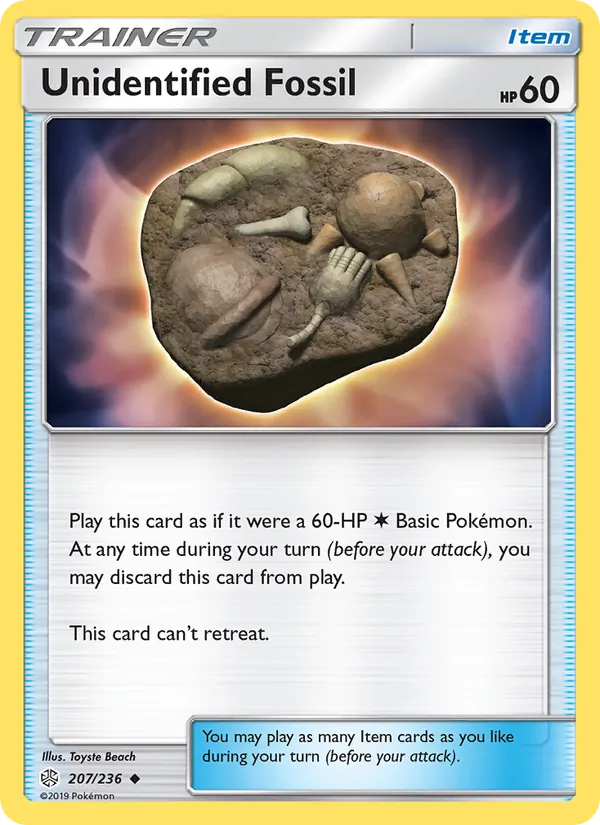 Unidentified Fossil #207/236