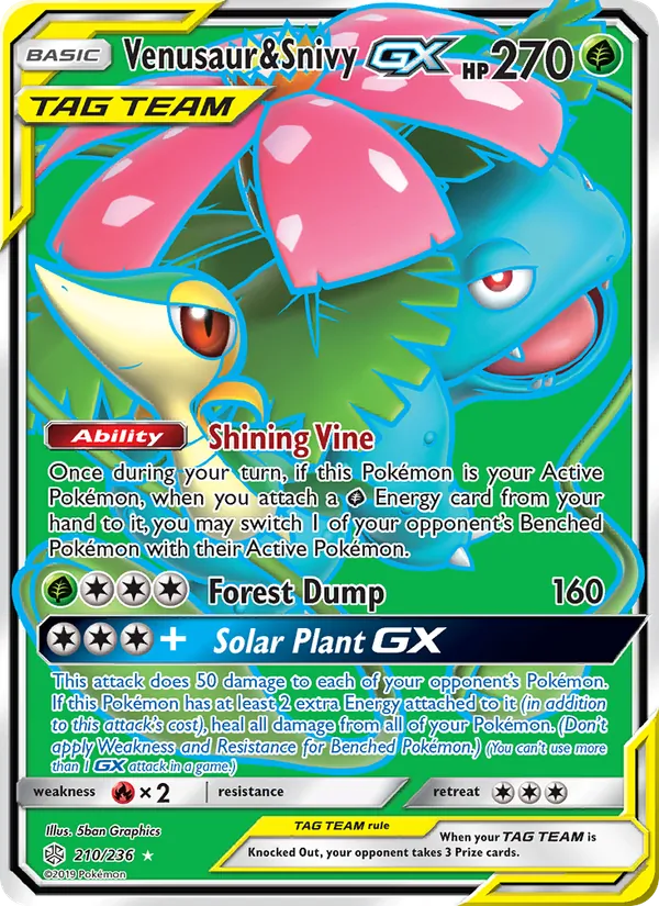 Venusaur & Snivy GX #210/236
