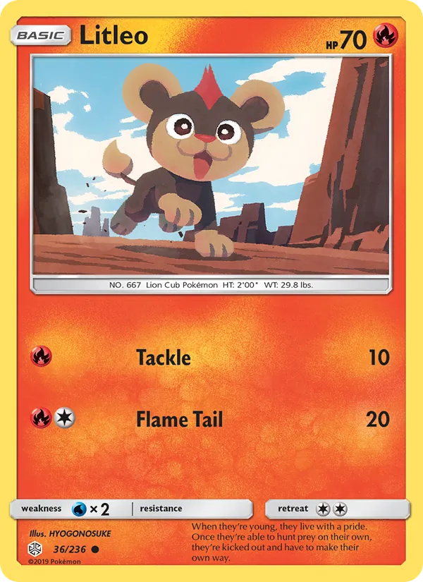 Litleo #36/236