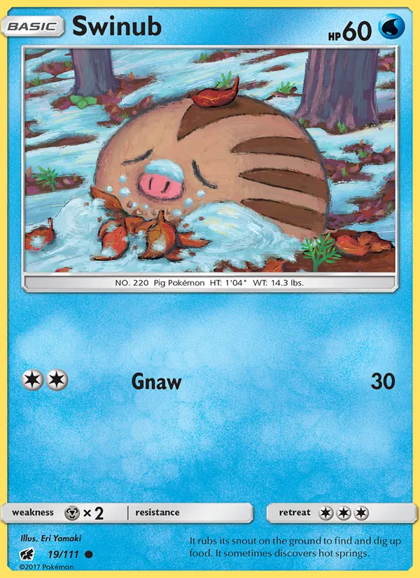 Swinub #19/111
