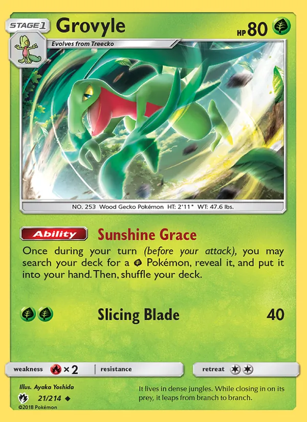Grovyle #21/214