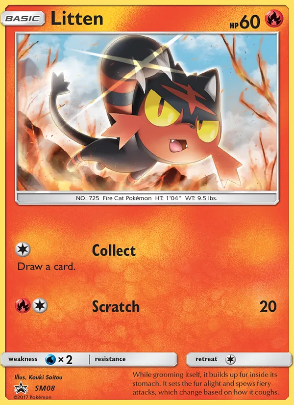 Litten #SM08/248