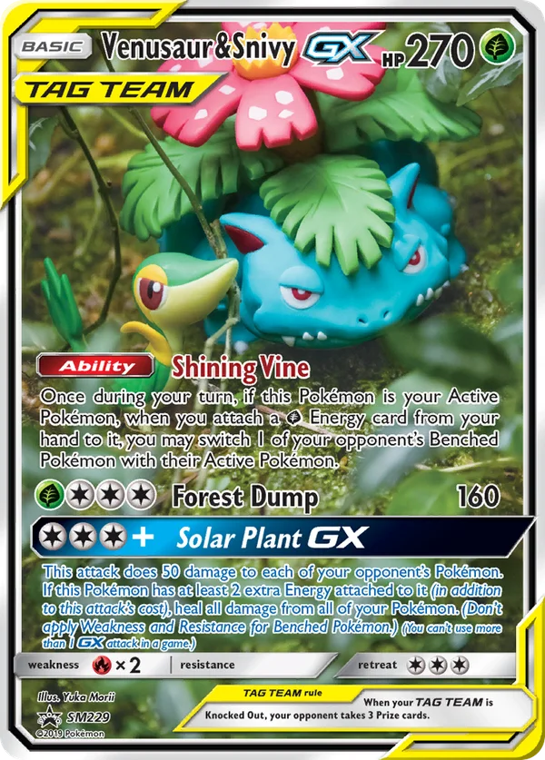 Venusaur & Snivy GX #SM229/248