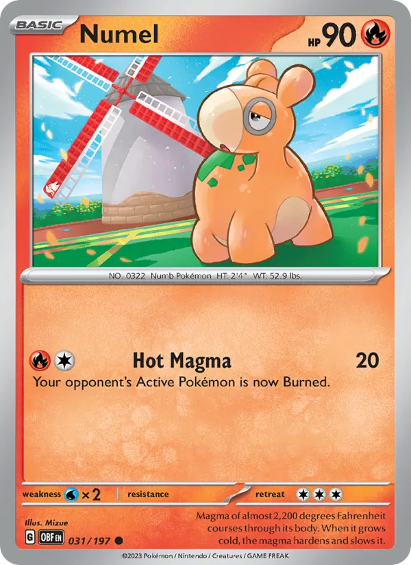 Numel #31/197