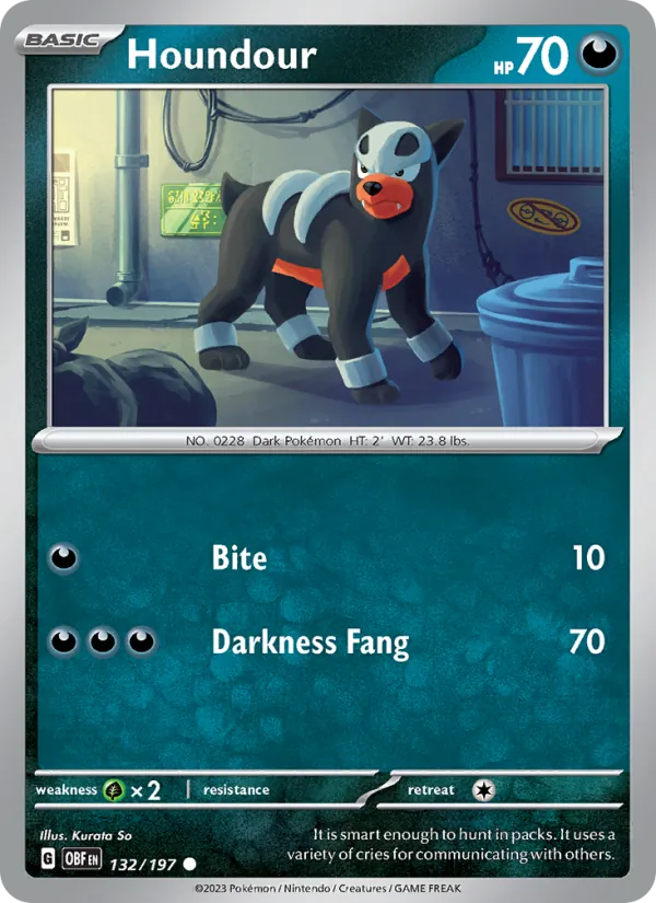 Houndour #132/197