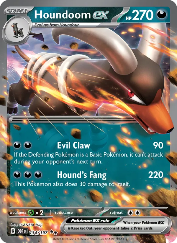 Houndoom ex #134/197