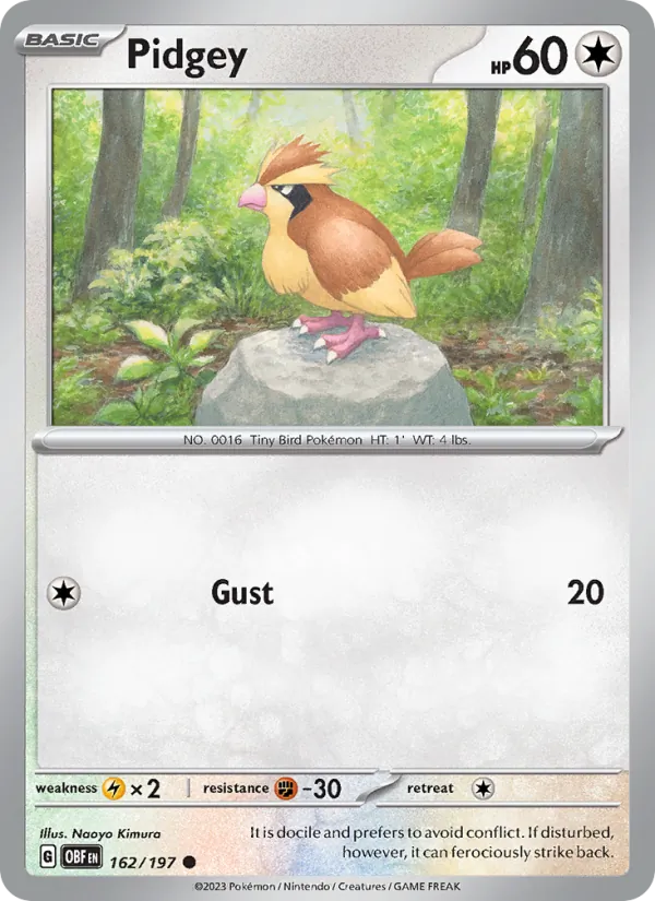 Pidgey #162/197