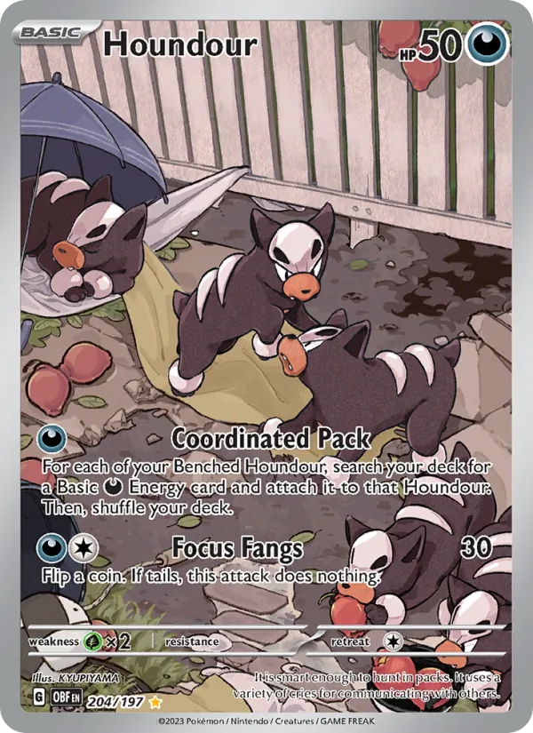 Houndour #204/197