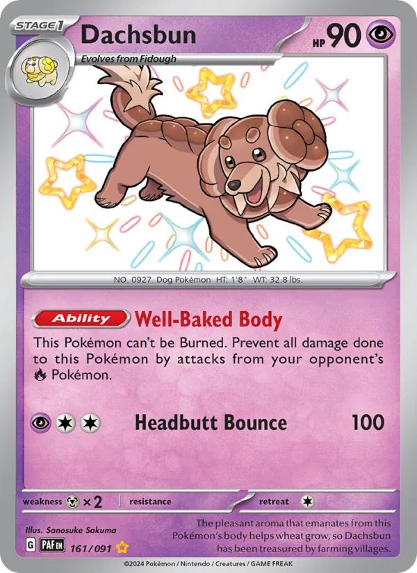 Dachsbun #161/91