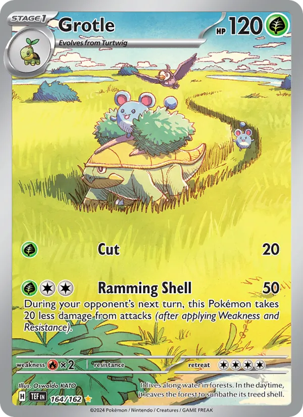 Grotle #164/162