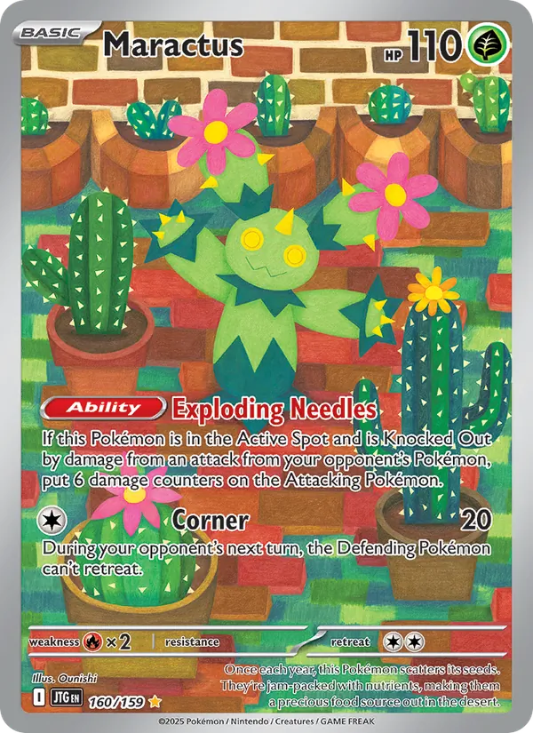 Maractus #160/159