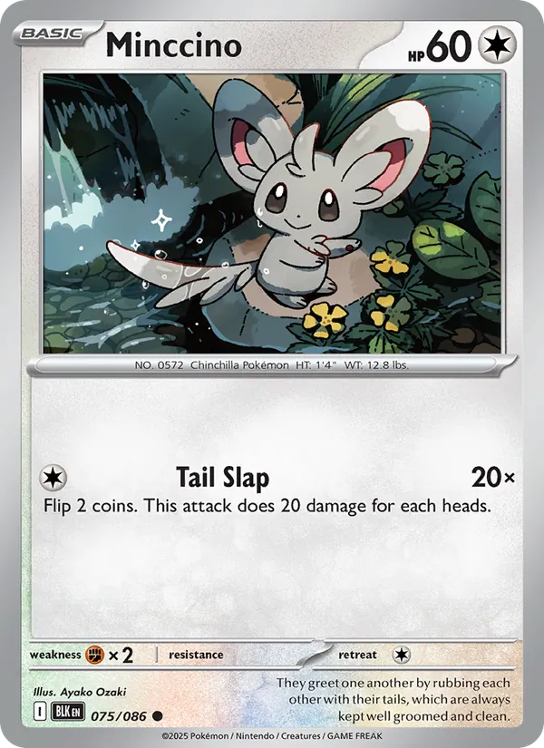 Minccino #75/86